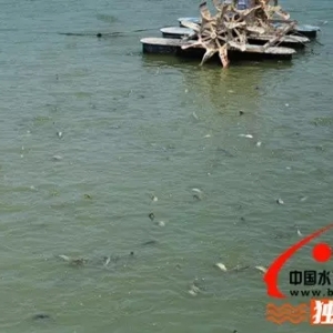 ���r�Bֳ��Ȼƣܛ ���q�����D�B���xƷ�N