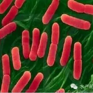 ����N������EMS�²������ڹ��ϻ����Йz�y