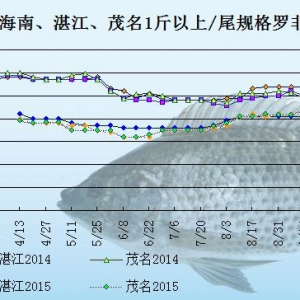 �_���~�r���܈��N������  �����~�r��ƽ