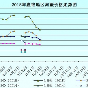 2015��10��3���|���P�\��з�r������