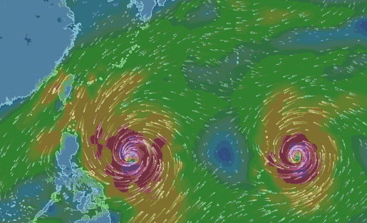 ���޾������Ȍ������F(xi��n)���l(f��)ʽ���L