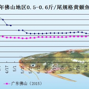 �S��~�r���܈��N���p��  �����~�r�S��