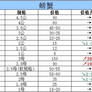 2015��10��16���|���P�\��з�r������