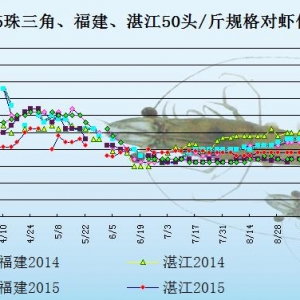 ���r��߅�r���Ј���ʎ   С�r�r������