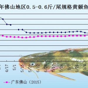 �S��~�r���܈�����څ��   �~�r��ƽ