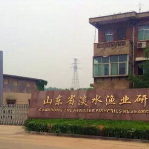 ���r�Bֳ�������m���ļ����sƷζ���ļ�