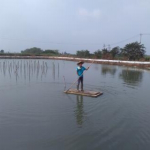 һ��ˮ�a���о�������ô����ˮ�a�ģ�