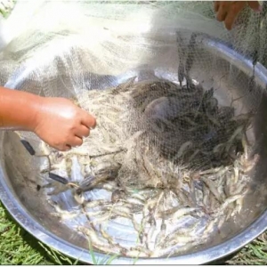 ���麣ƽɳ�_���~�c���r��λ��B