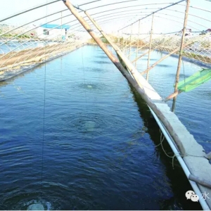 ��|С���B�r�ܷ��������L�����@6����ʽ