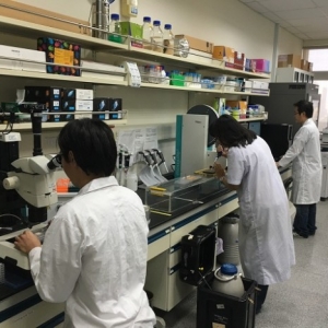 �_�����аlʯ���~�˰����磬���Bֳ�����¸���