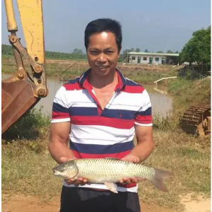 ��־���򻯲��~�Ͻo�����µęC��