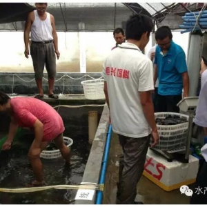 ���dʯ���~�ϣ����꿿ʲô��܊ͻ��