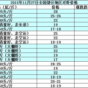 ���r�r���܈��Ј��N����  �r�r��(w��n)������