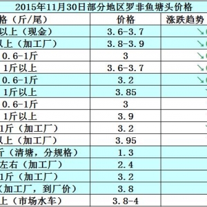 �_���~�r���܈����w�N��ƣܛ  �����~�r�R��