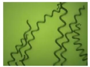 ������������ܲ��ܿ��壿