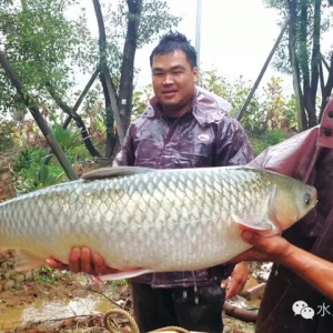 ���~�u���ϺÃr����ɽ�������B(y��ng)ֳ�����������^�ӏ�Ʒ���ƏV