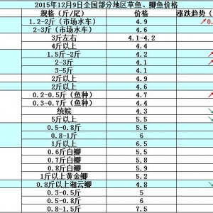 2015��12��9��ȫ�����ֵ؅^���~���a�~��߅�r