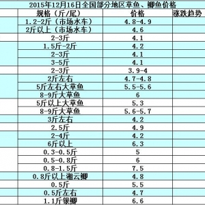 2015��12��16��ȫ�����ֵ؅^���~���a�~��߅�r