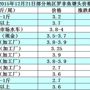 �_���~�r���܈�������m����  �~�r�ϝq�y�ȴ�