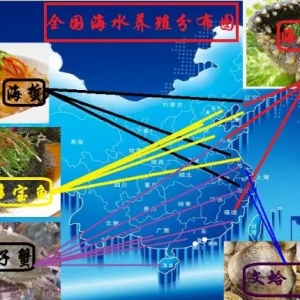 2015�꺣ˮ�Bֳ�Ј����Y���