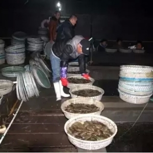 ���Ϸ�����֮����ϼ�ַ���Y�������L�����A��