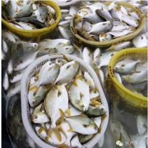 ���K�~�Ј���ĩ��P�c�����~�����������^1ǧ�f�l