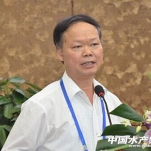 ���������ҕ���^�X�L����피��ǎ��Ƽ���ˮ�aʢ��