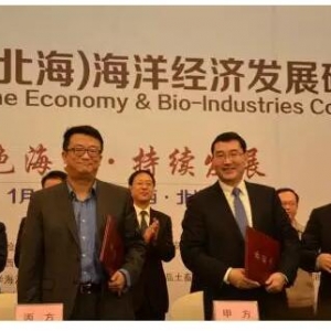 һ���ИI���h�����Π��Ӈ��������نT��