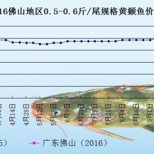 �S��~�r���܈��B���^��ϧ��  �V�|�~�r�ϝq