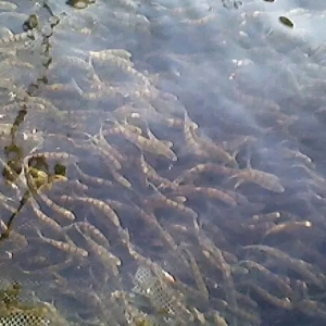 ����ʯ���~����a�I��ȥ�Ώģ�