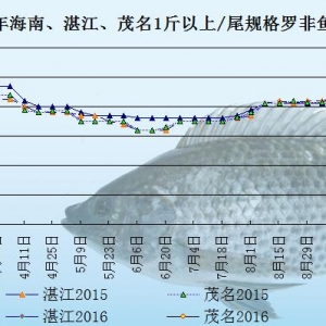 �_���~�r���܈�ُ�Nͣ��   �~�r���r����