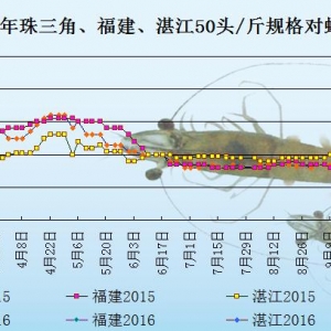 ���r��߅�r�����r������(y��ng)��  �r���С������