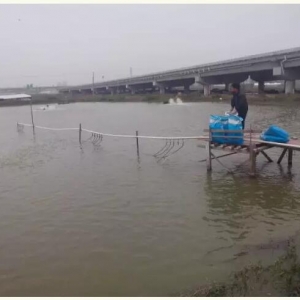 2015�긣�������|�����~�����δ�R��