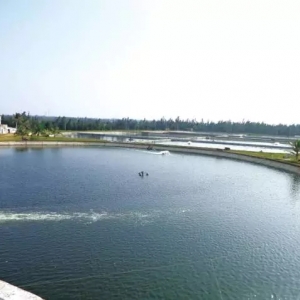 ���r�y�B����λ���D�B���K���g�����ǰ���