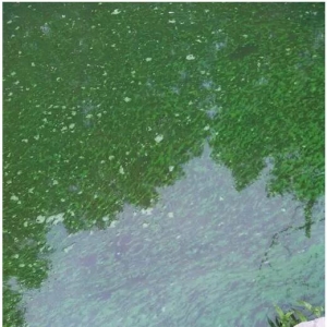 ˮ�a(ch��n)�B(y��ng)ֳ�M(j��n)����L(f��ng)�U(xi��n)ģʽ �~���������P(gu��n)�I