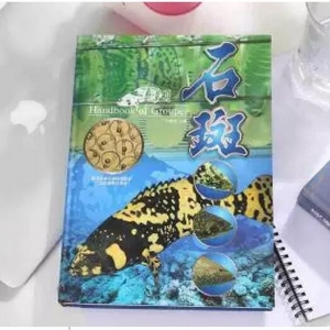 ʯ�� Handbook of Grouper�����{����ʯ���~�Bֳ���������ʮ�d����β���Wһ�W��