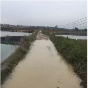 �������������෽�f�{��ï��9�r�r�@20�쾏�_��