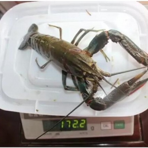 �Bֳ�����D�ͣ����޵�ˮ���r�ܷ�ɞ��ИI����