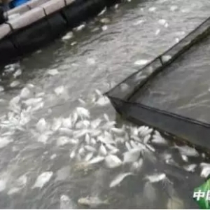 ���K�~�Ǻ������c�������Bֳ����β��������a�Σ�