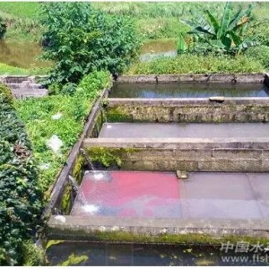 �����DƬ���V�㣬�����|�����Z�D�Ĳ�������