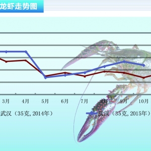 С���r�վ��������p �ۃr�����½�������ˮ�aǰ�ء�2015��11�¿��Ј�څ��