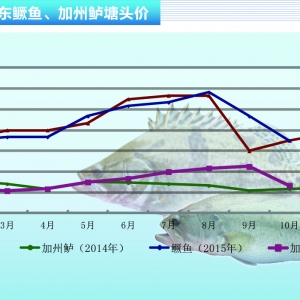 �Z�~�����~�������� �~�r��4-5Ԫ/�����ˮ�aǰ�ء�2015��11�¿��Ј�څ��