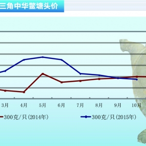 ���~����r������µ�������ˮ�aǰ�ء�2015��11�¿��Ј�څ��