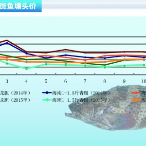 ʯ���~��25-30Ԫ/���δ���ăr�񳣑B������ˮ�aǰ�ء�2015��11�¿��Ј�څ��
