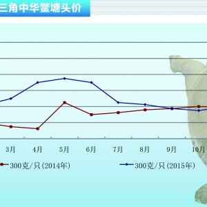 ���~�r�����ϝq�ڻ�?q��)���ǰ������ˮ�a(ch��n)ǰ�ء�2015��12�¿��Ј�څ��