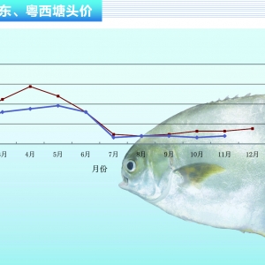 ���K���ڃr��څ��������ˮ�aǰ�ء�2015��12�¿��Ј�څ��