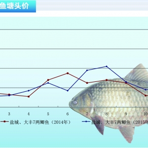 �a�~�������u�� �r�񲻄ӡ�����ˮ�a(ch��n)ǰ�ء�2015��12�¿��Ј�څ��