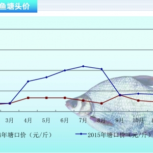 ���~���K�σr��ƽ��(w��n) ���鿴�q������ˮ�aǰ�ء�2015��12�¿��Ј�څ��