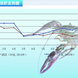 С���r�վ��N�����^�����½�һ�롪����ˮ�aǰ�ء�2015��12�¿��Ј�څ��