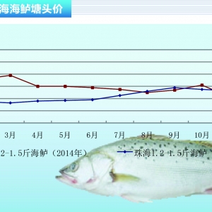 ���|�����wڅ��(w��n) �����ֵ̓rλ�\(y��n)�С�����ˮ�a(ch��n)ǰ�ء�2015��12�¿��Ј�څ��